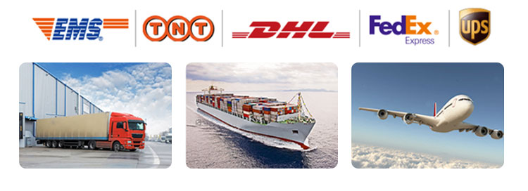 Qc11k-6x2500 Metal Guillotine Shear Guillotine Shearing Machine Qc11k-6x2500 मेटल गिलोटिन शियर गिलोटिन काटन मेसिन